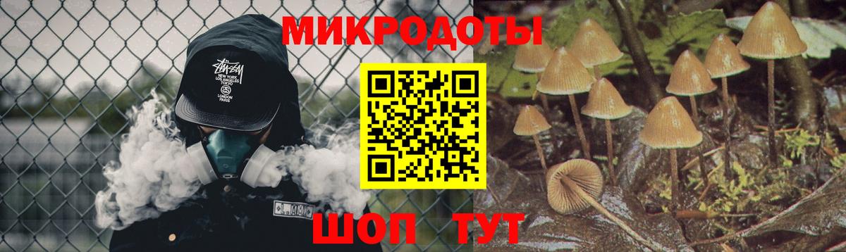 Псилоцибиновые грибы GOLDEN TEACHER  Псилоцибиновые грибы GOLDEN TEACHER  Набережные Челны  Вход с VPN 