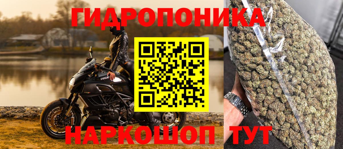 Марихуана Amnesia  Вход с VPN  Каннабис OG Kush  Марихуана Bruce Banner  Набережные Челны 